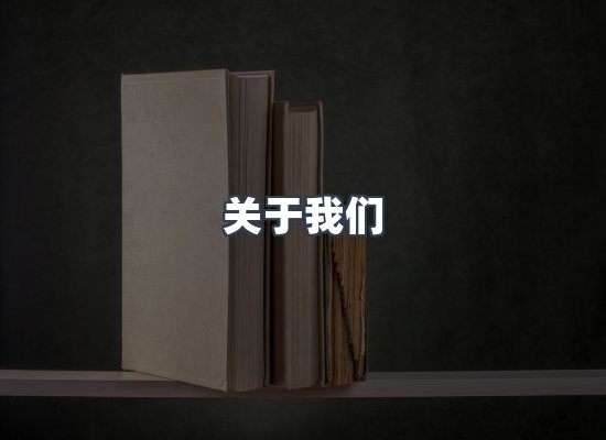 专业团队